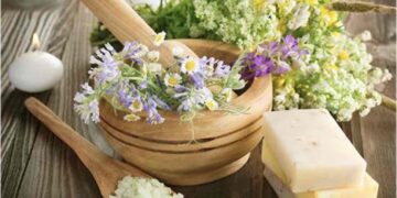 Produit bio ou naturel ou végan, c’est quoi la différence ?