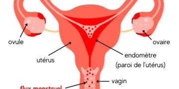 Menstruations