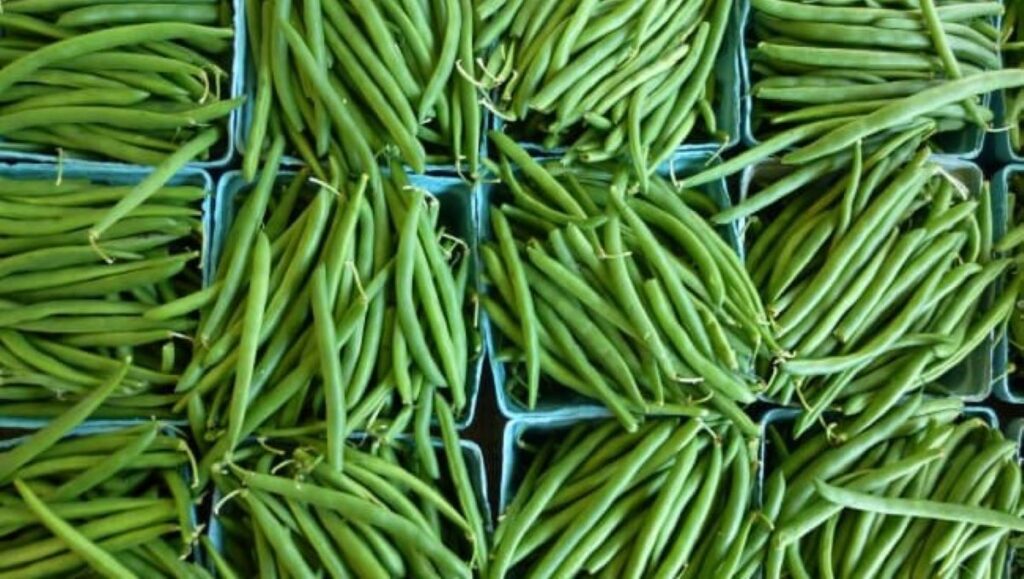 Des haricots verts