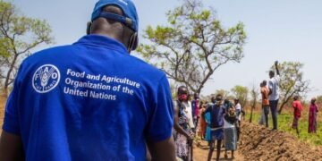 La FAO au Soudan du Sud