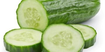 Concombre