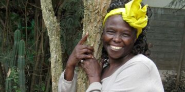 Wangari Maathai : La Gardienne de la Terre et des Droits Humains