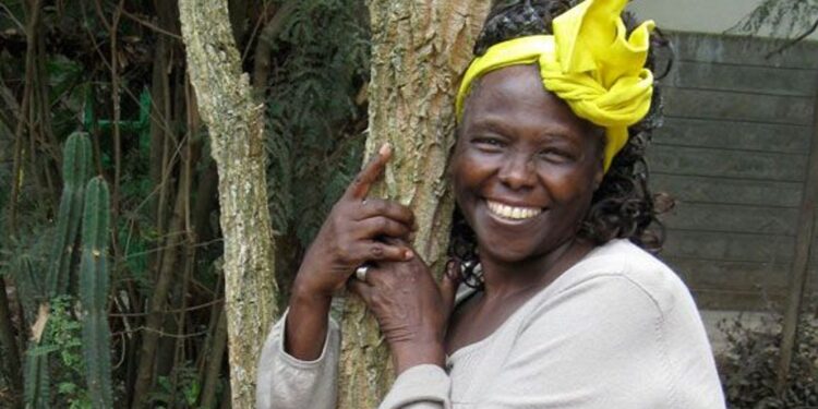 Wangari Maathai : La Gardienne de la Terre et des Droits Humains