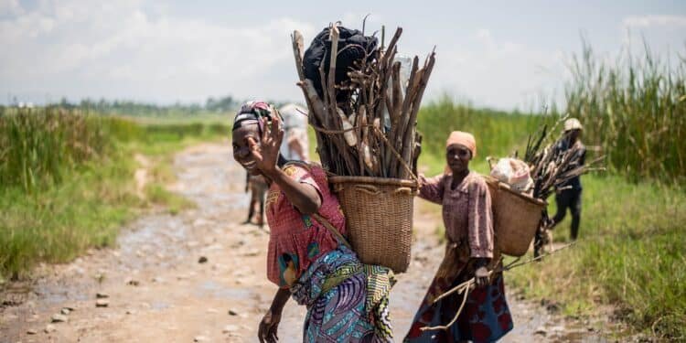 Femmes rurales en Afrique : elles nourrissent le continent, sans en récolter les fruits